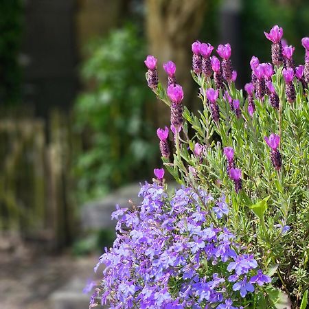 De Zeeuwsche Hoeve Kerkwerve Екстер'єр фото