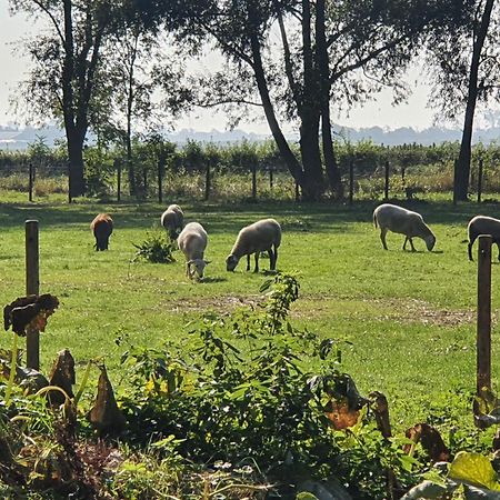 De Zeeuwsche Hoeve Kerkwerve Екстер'єр фото