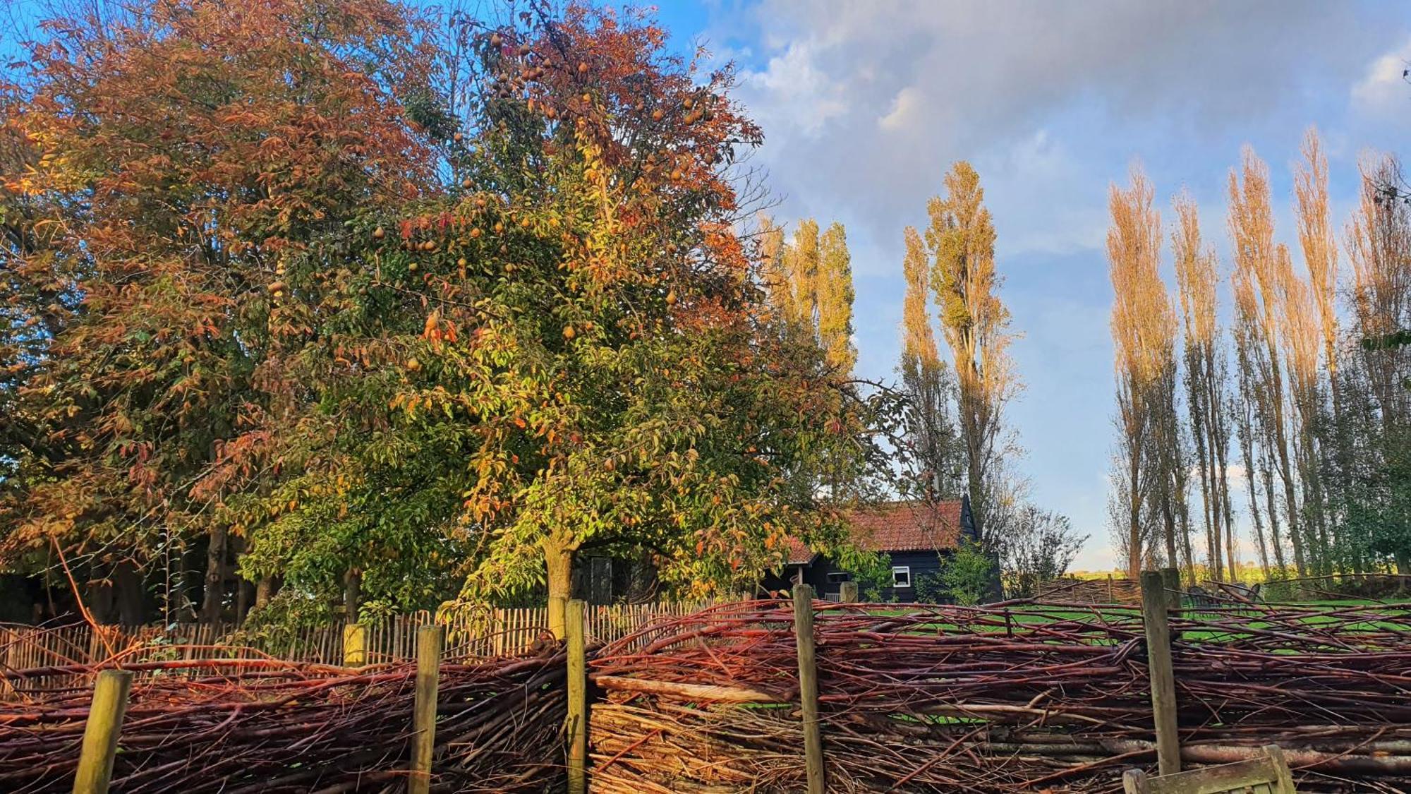 De Zeeuwsche Hoeve Kerkwerve Екстер'єр фото
