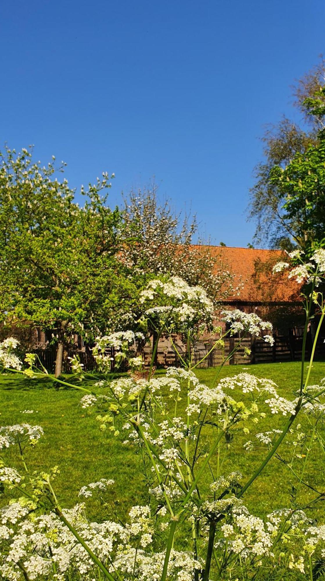 De Zeeuwsche Hoeve Kerkwerve Екстер'єр фото