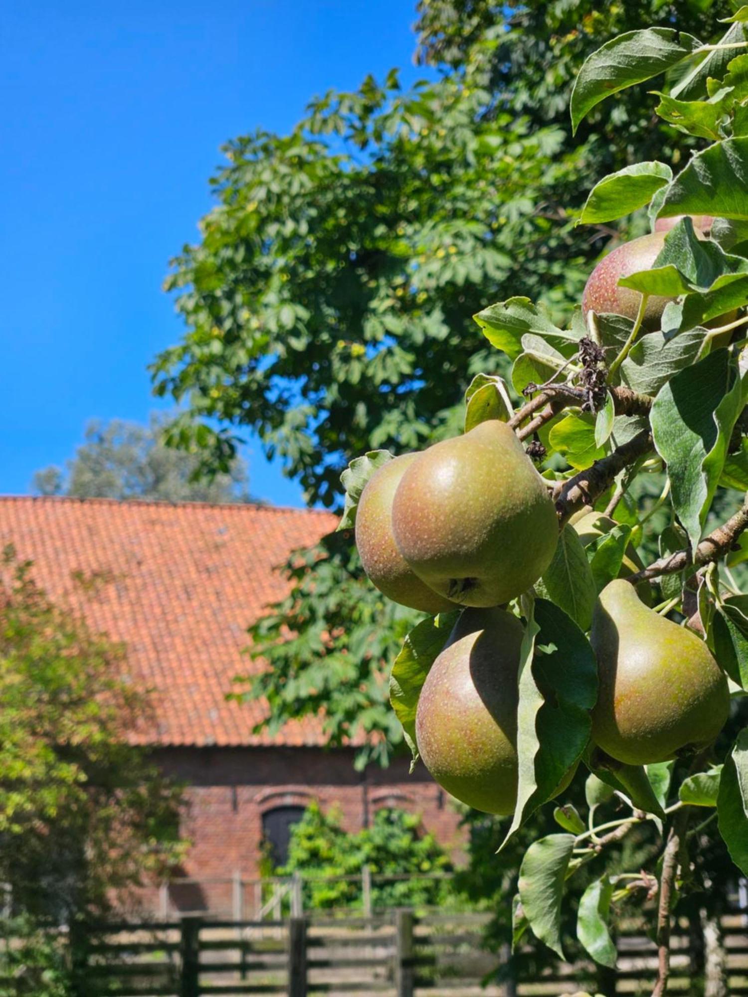 De Zeeuwsche Hoeve Kerkwerve Екстер'єр фото