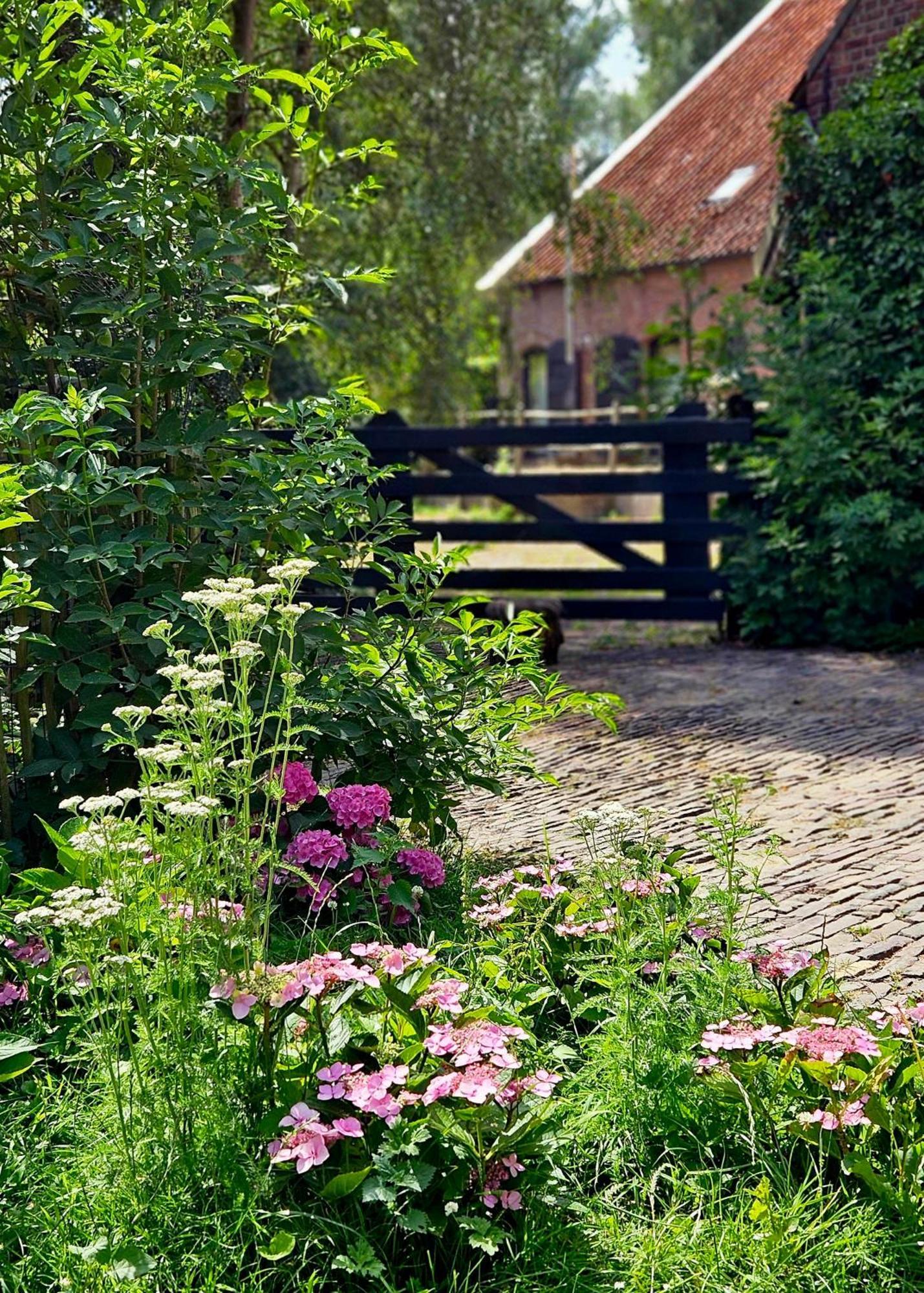 De Zeeuwsche Hoeve Kerkwerve Екстер'єр фото