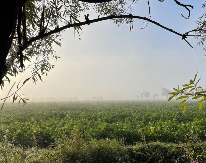 De Zeeuwsche Hoeve Kerkwerve Екстер'єр фото